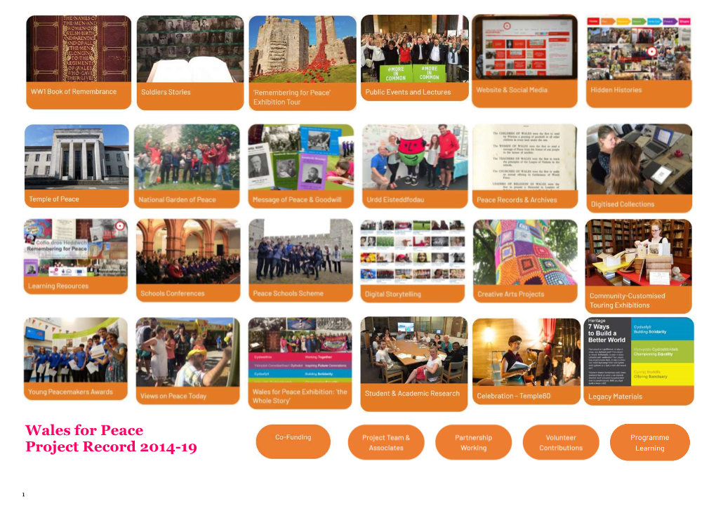 Wales for Peace Project Record 2014-19