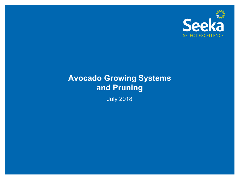 Avocado Growing Systems and Pruning July 2018 the Avocado Tree Characteristics of Hass Trees