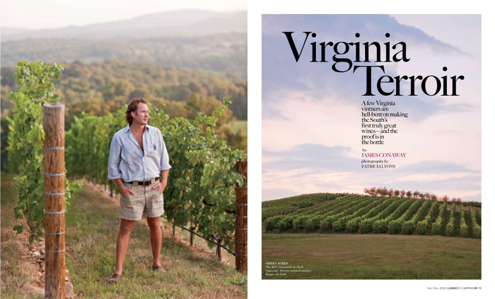 A Few Virginia Vintners Are Hell-Bent on Making the South's First Truly