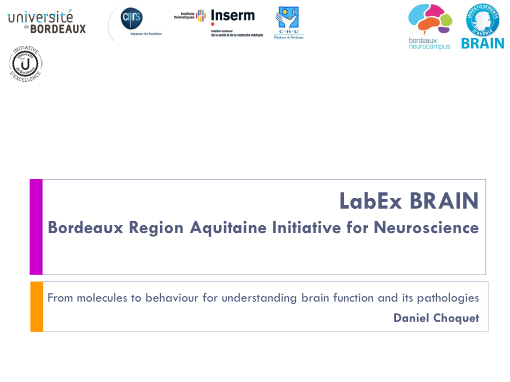 Labex BRAIN Bordeaux Region Aquitaine Initiative for Neuroscience