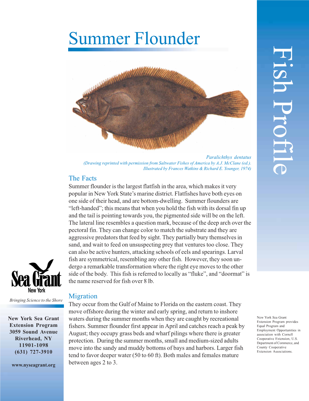 Summer Flounder Fish Profile