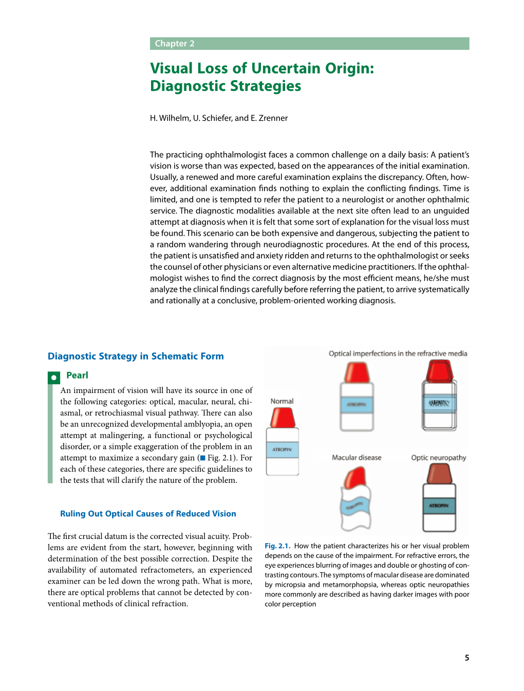 Visual Loss of Uncertain Origin: Diagnostic Strategies