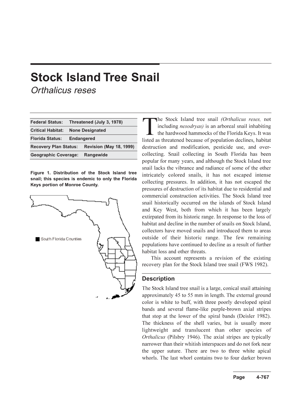 The Stock Island Tree Snail (Orthalicus Reses