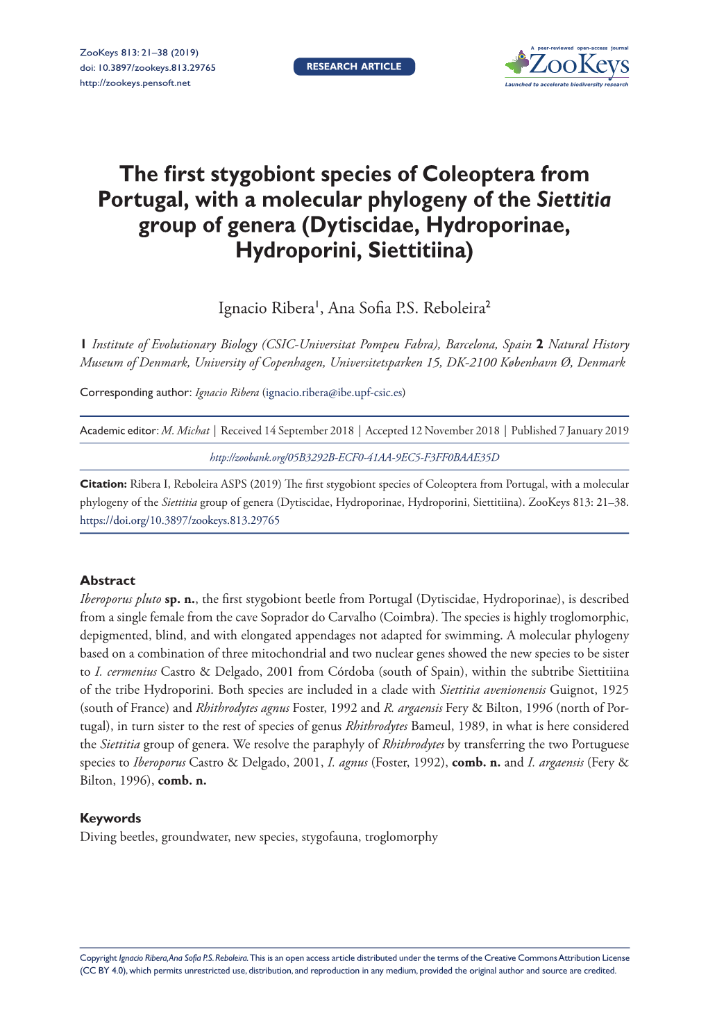 ﻿The First Stygobiont Species of Coleoptera from Portugal, with a Molecular Phylogeny of the Siettitia Group of Genera (Dytisc