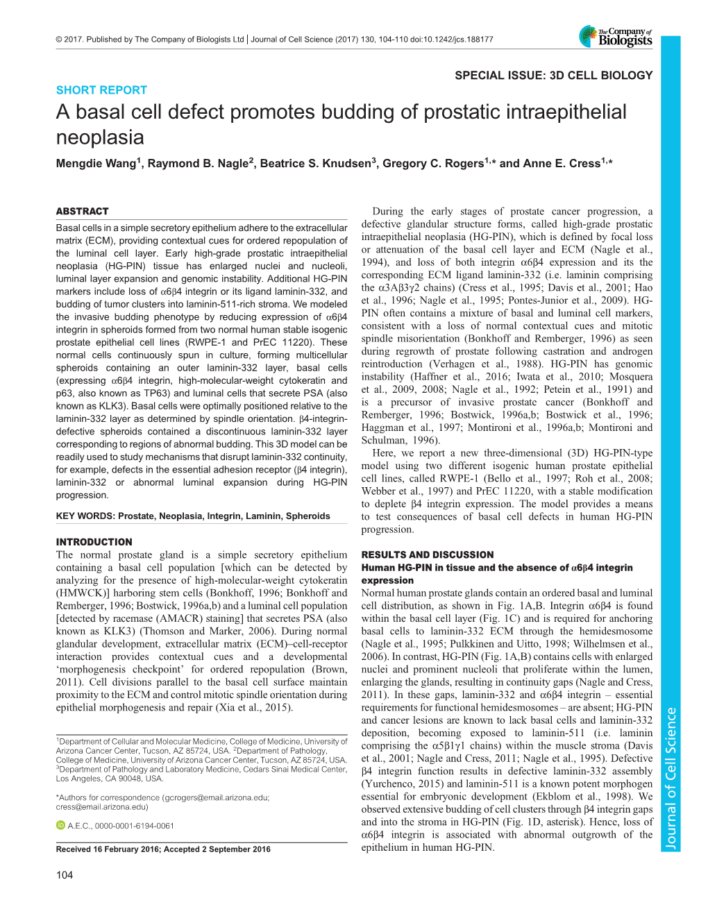 A Basal Cell Defect Promotes Budding of Prostatic Intraepithelial Neoplasia Mengdie Wang1, Raymond B