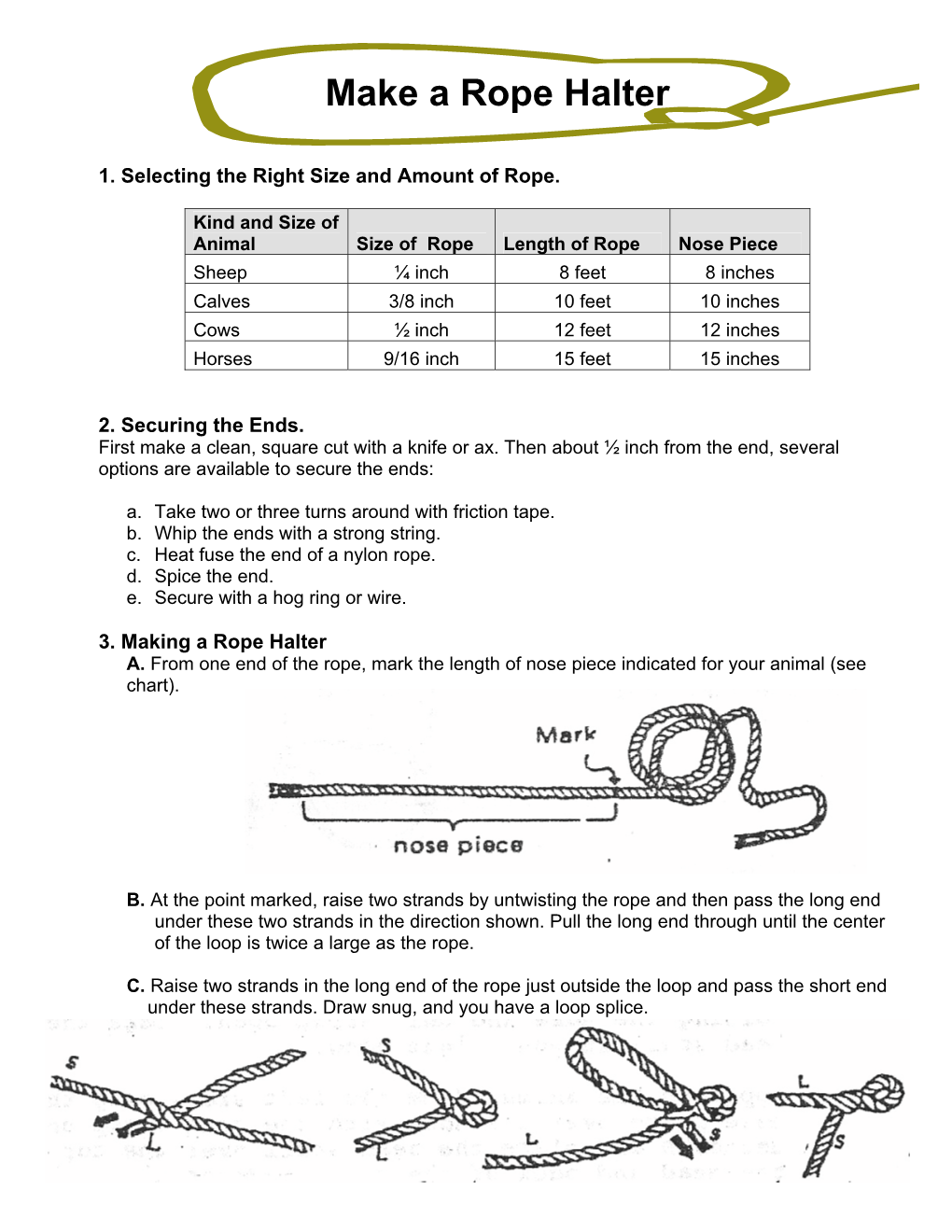 Make a Rope Halter