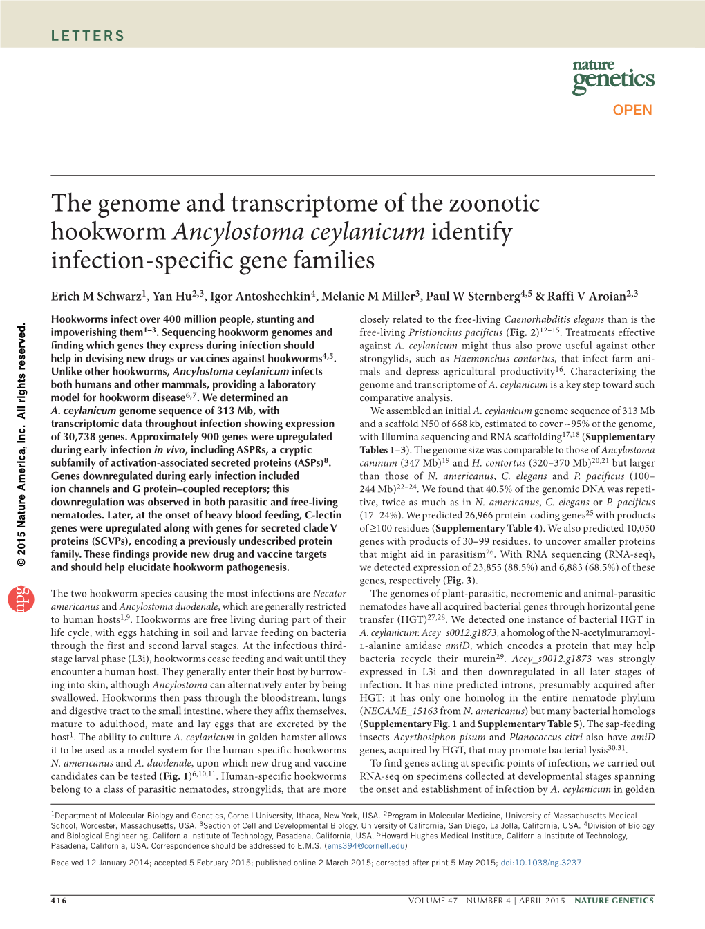 The Genome and Transcriptome of the Zoonotic Hookworm Ancylostoma