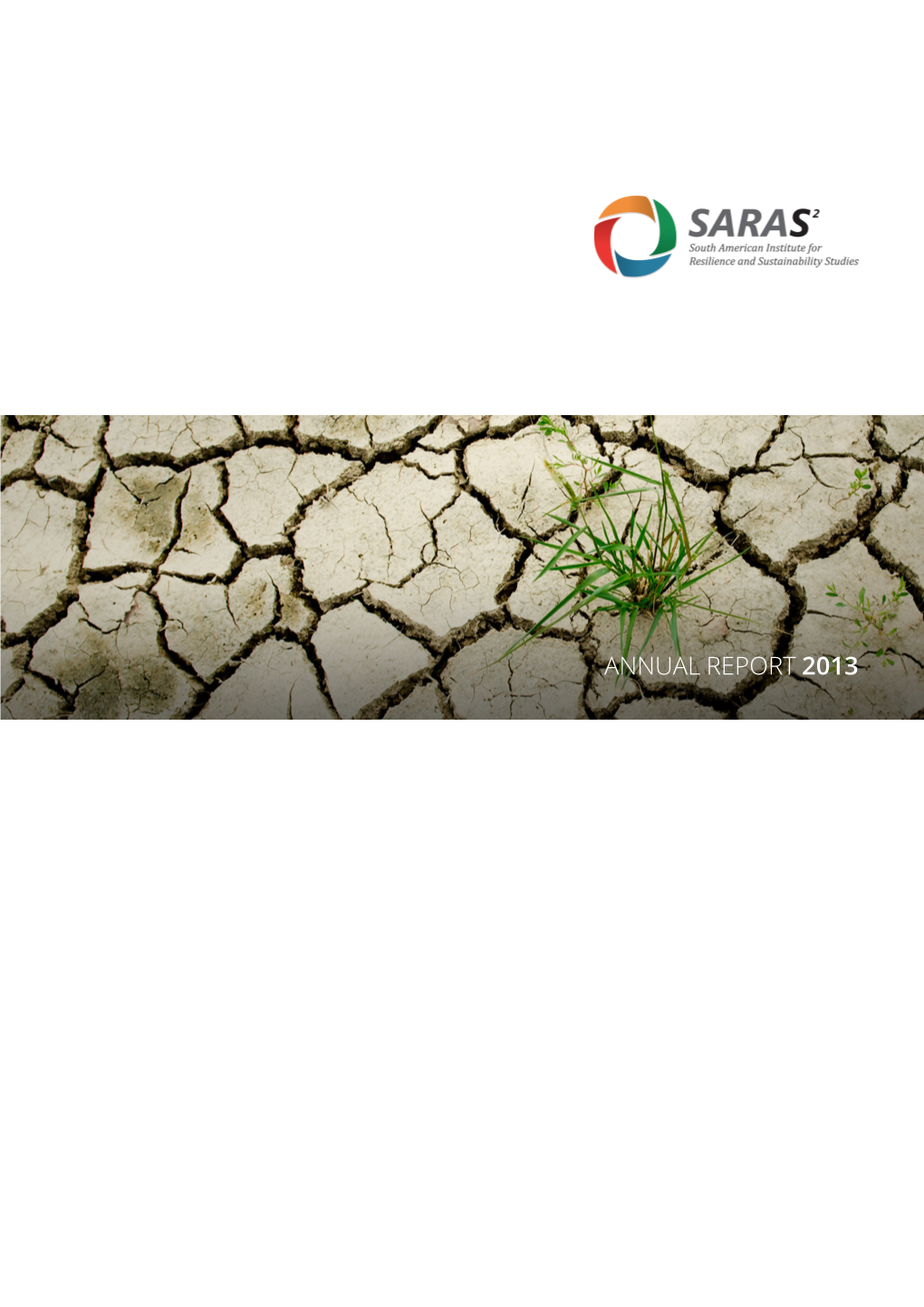 Annual Report 2013 Saras Institute