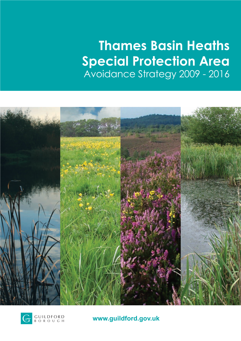 Thames Basin Heaths Special Protection Area Avoidance Strategy 2009 – 2014’