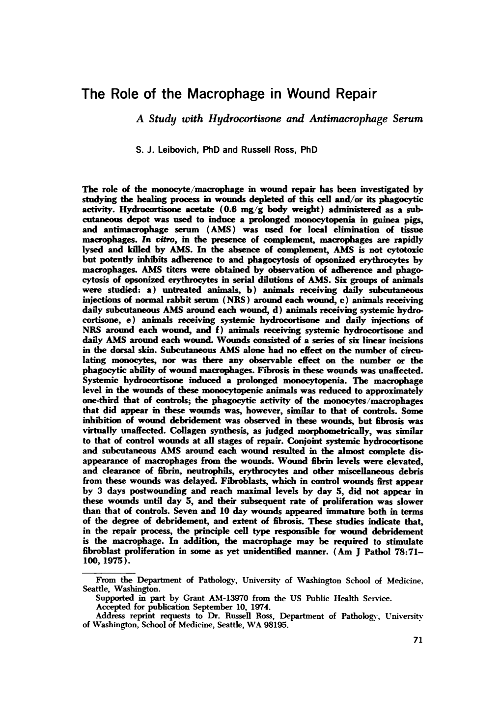 The Role of the Macrophage in Wound Repair a Study with Hydrocortisone and Antinwcrophage Serum