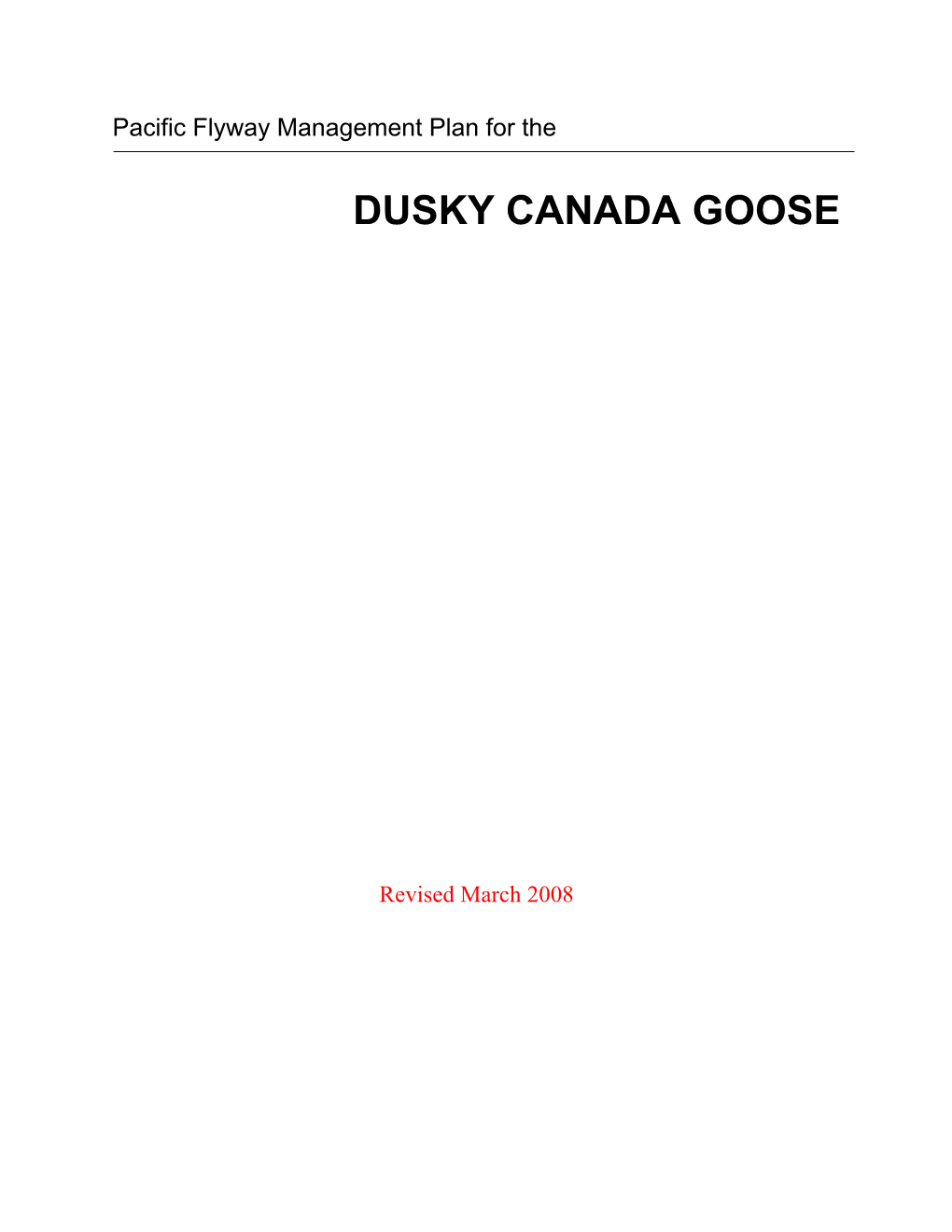 Dusky Canada Goose