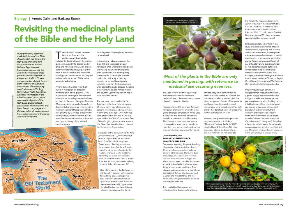 Revisiting the Medicinal Plants of the Bible and the Holy Land