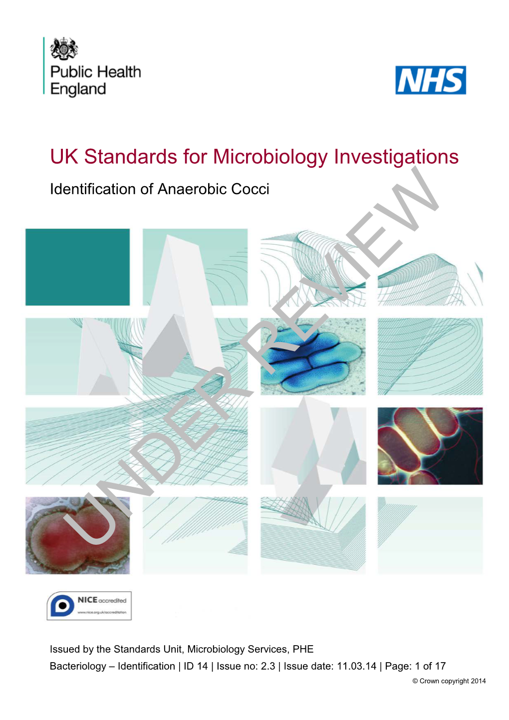 Identification of Anaerobic Cocci