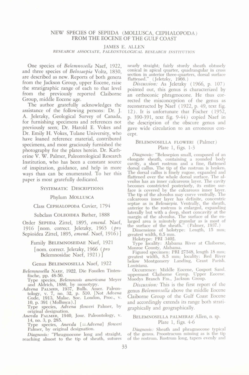 Mollusca, Cephalopoda) from the Eocene of the Gulf Coast James E