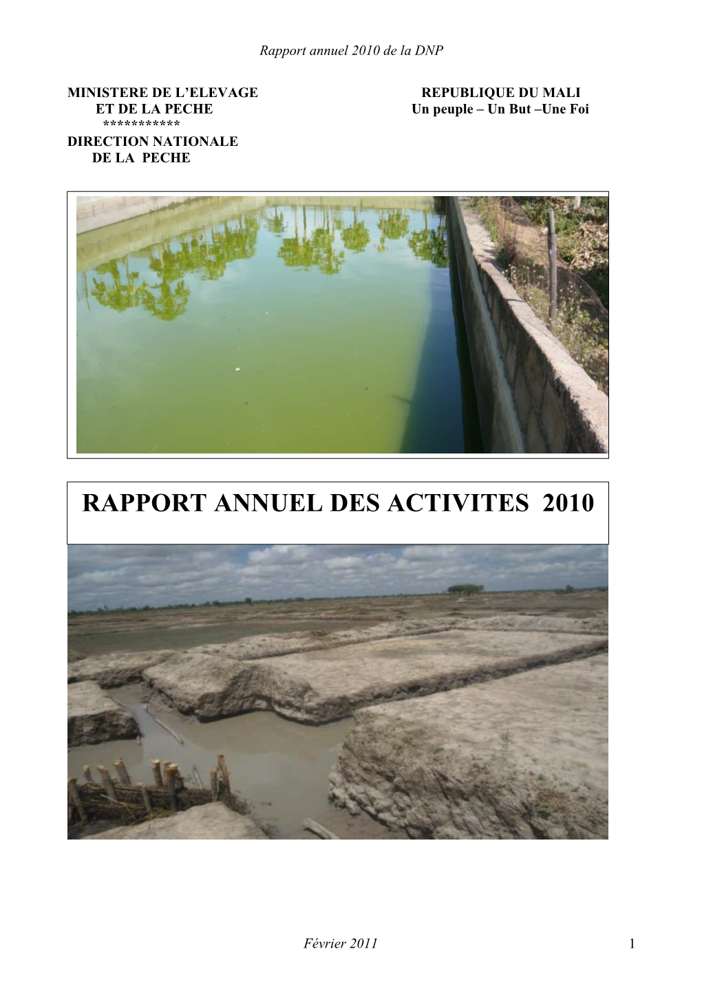 Rapport Annuel 2010 DNP Version Finale