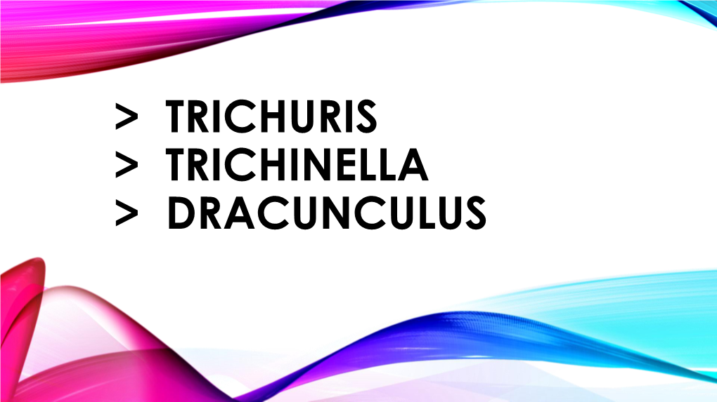 Trichuris Trichiura Superfamily: Trichinelloidea