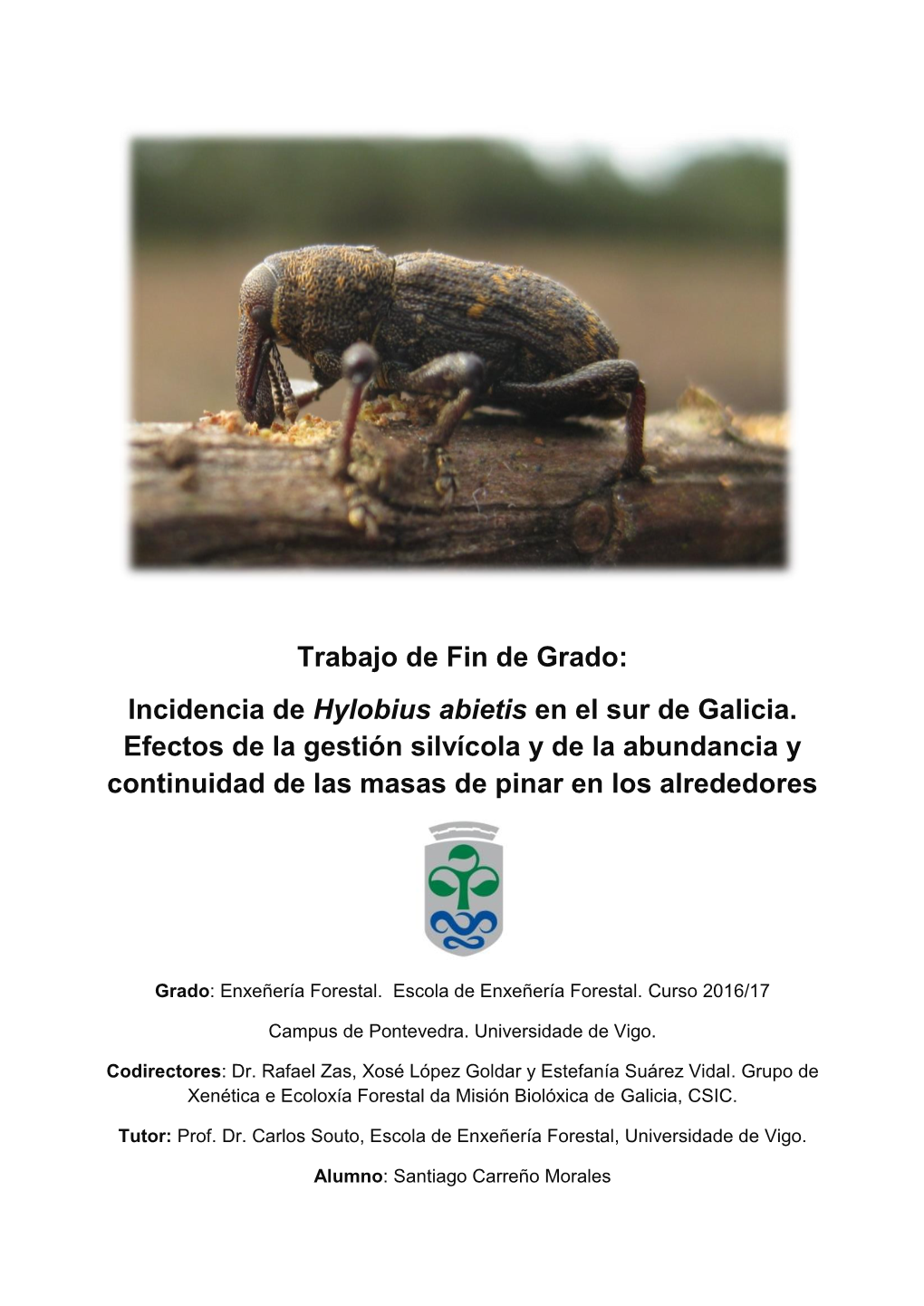 Incidencia De Hylobius Abietis En El Sur De Galicia