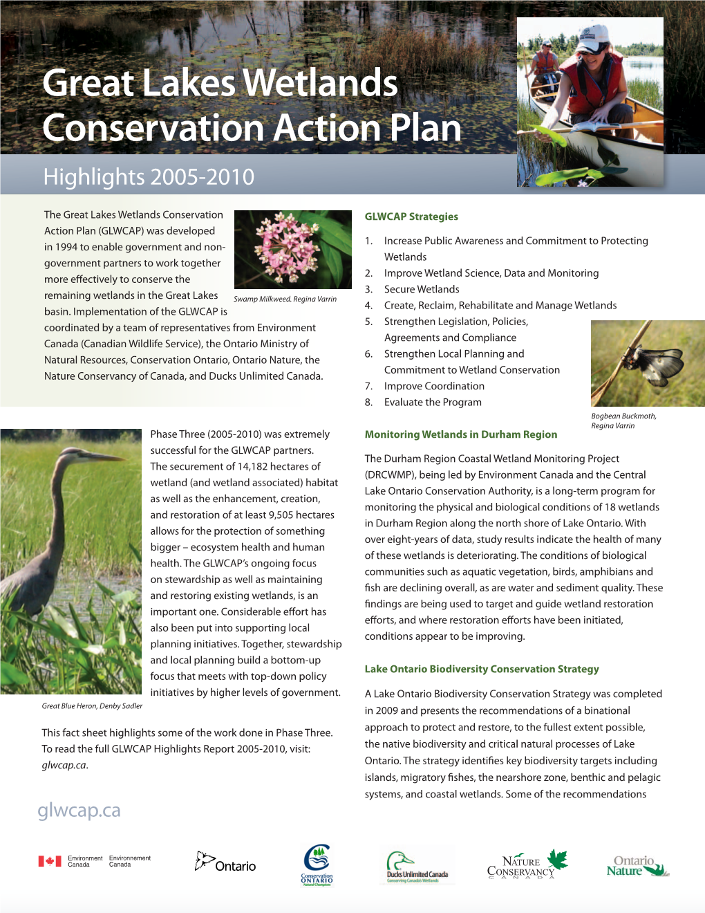 Great Lakes Wetlands Conservation Action Plan Highlights 2005-2010