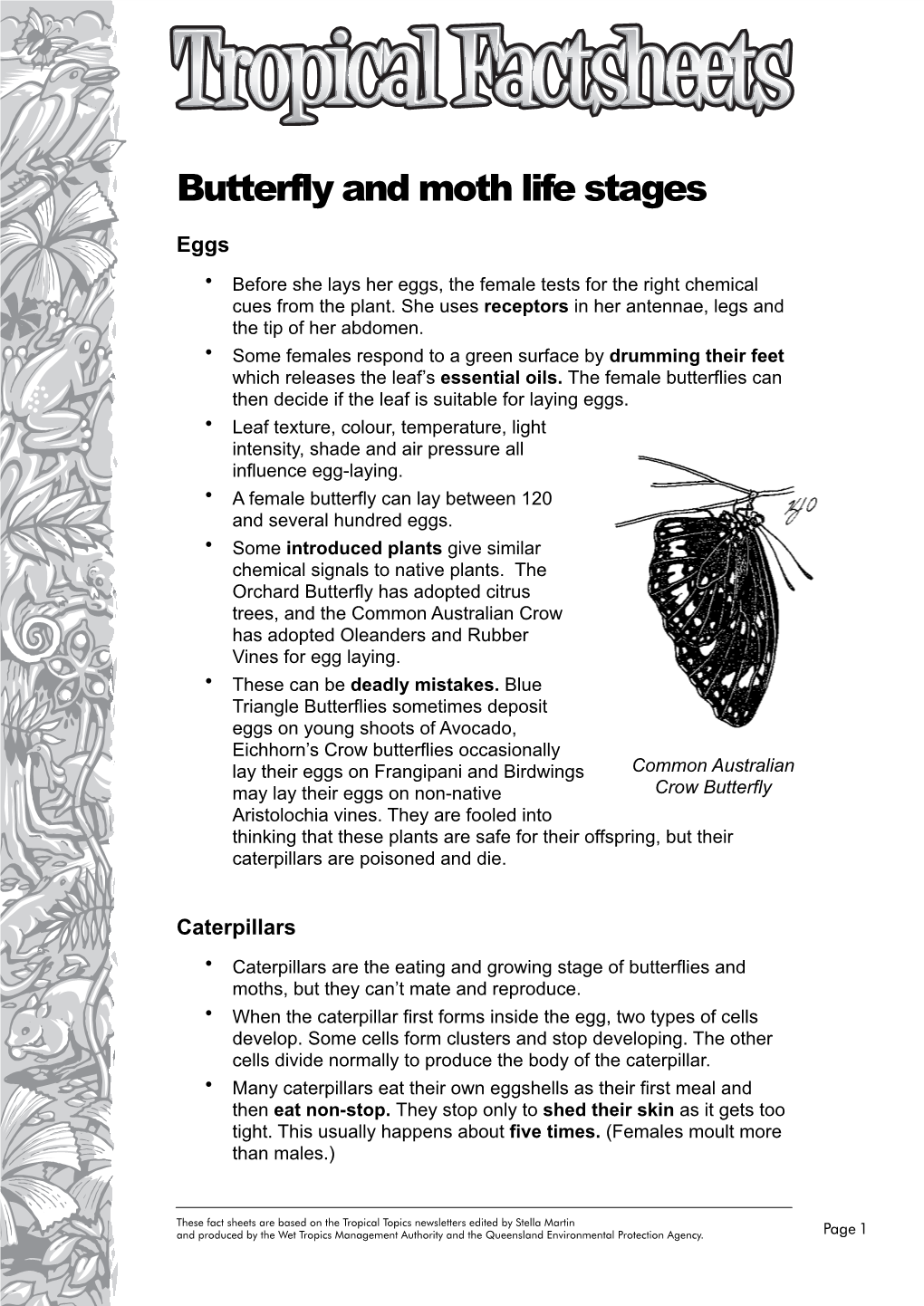 Butterfly and Moth Life Stages