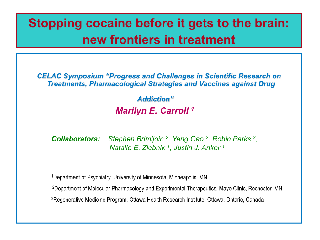 Stopping Cocaine Before It Gets to the Brain: New Frontiers in Treatment