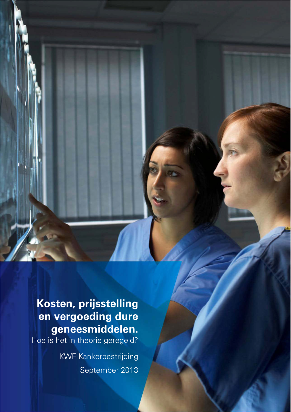 Kosten, Prijsstelling En Vergoeding Dure Geneesmiddelen. Hoe Is Het in Theorie Geregeld?