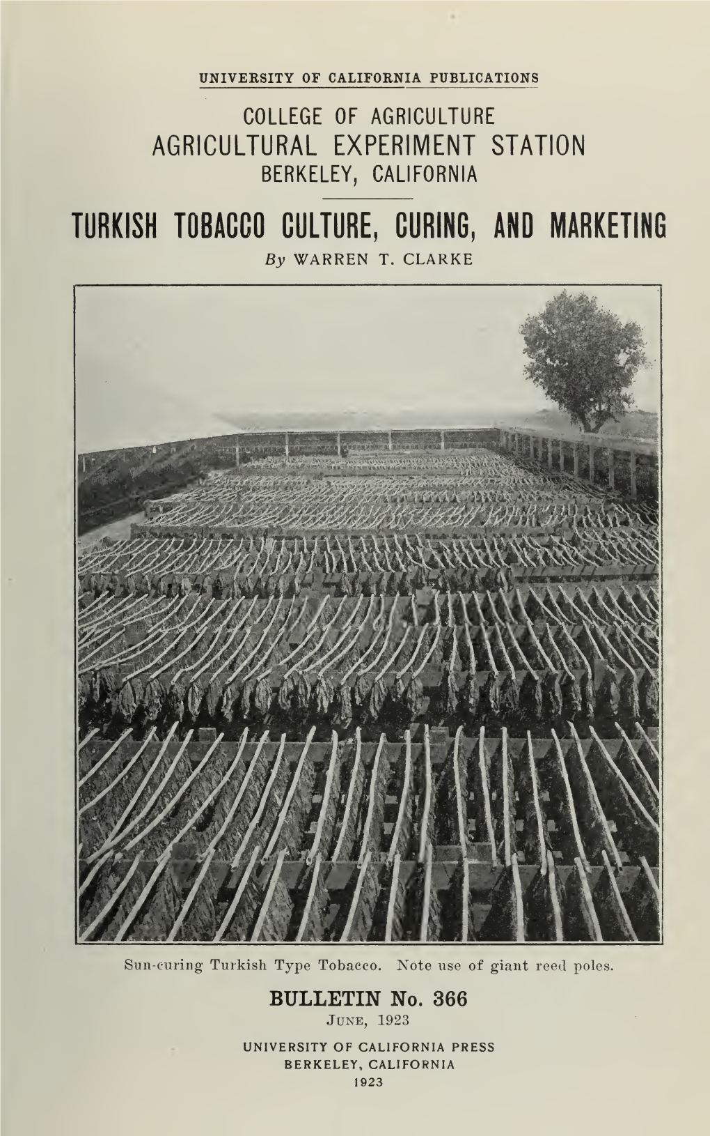 TURKISH TOBACCO CULTURE, CURING, and MARKETING by WARREN T