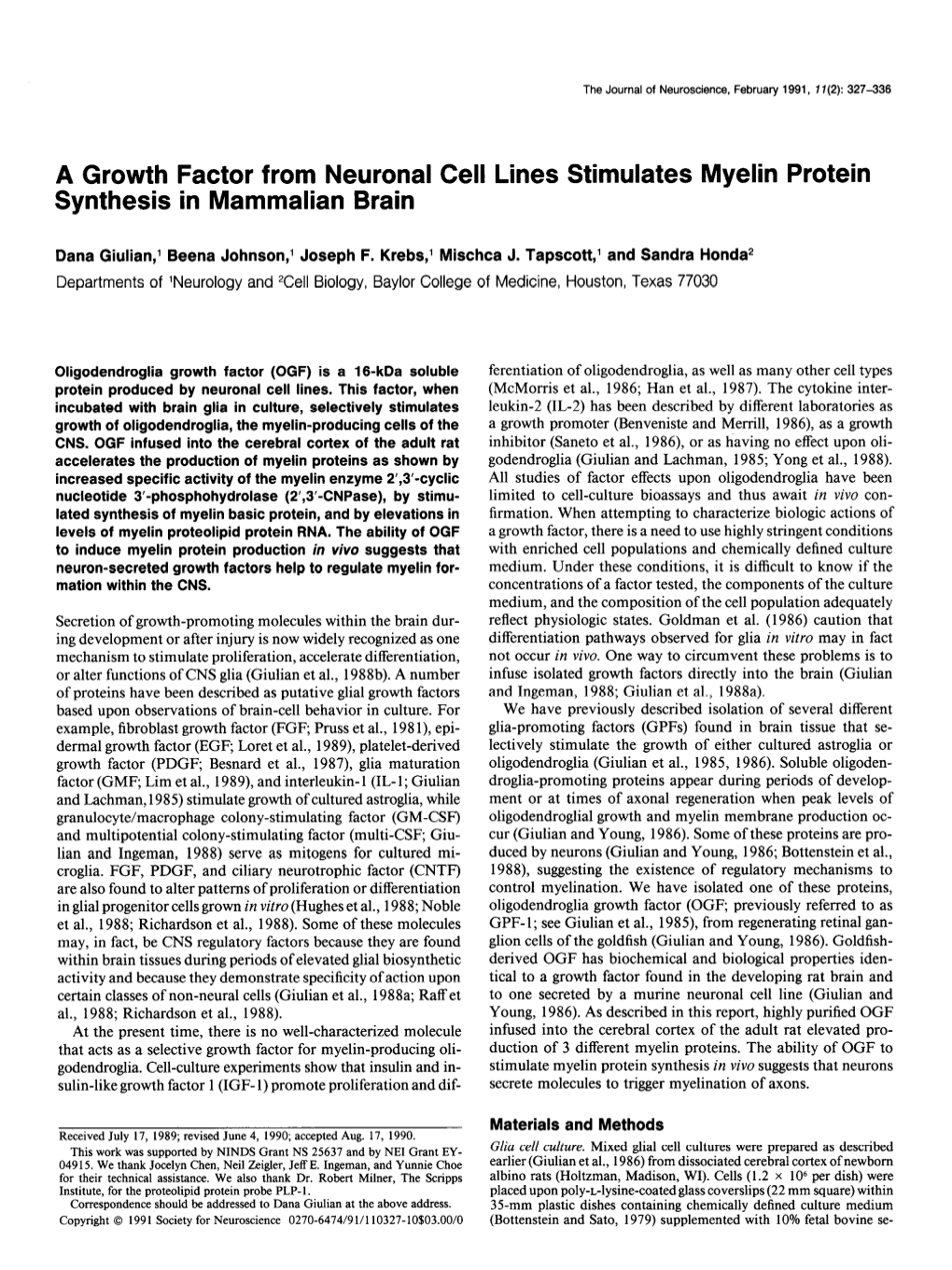 A Growth Factor from Neuronal Cell Lines Stimulates Myelin Protein Synthesis in Mammalian Brain