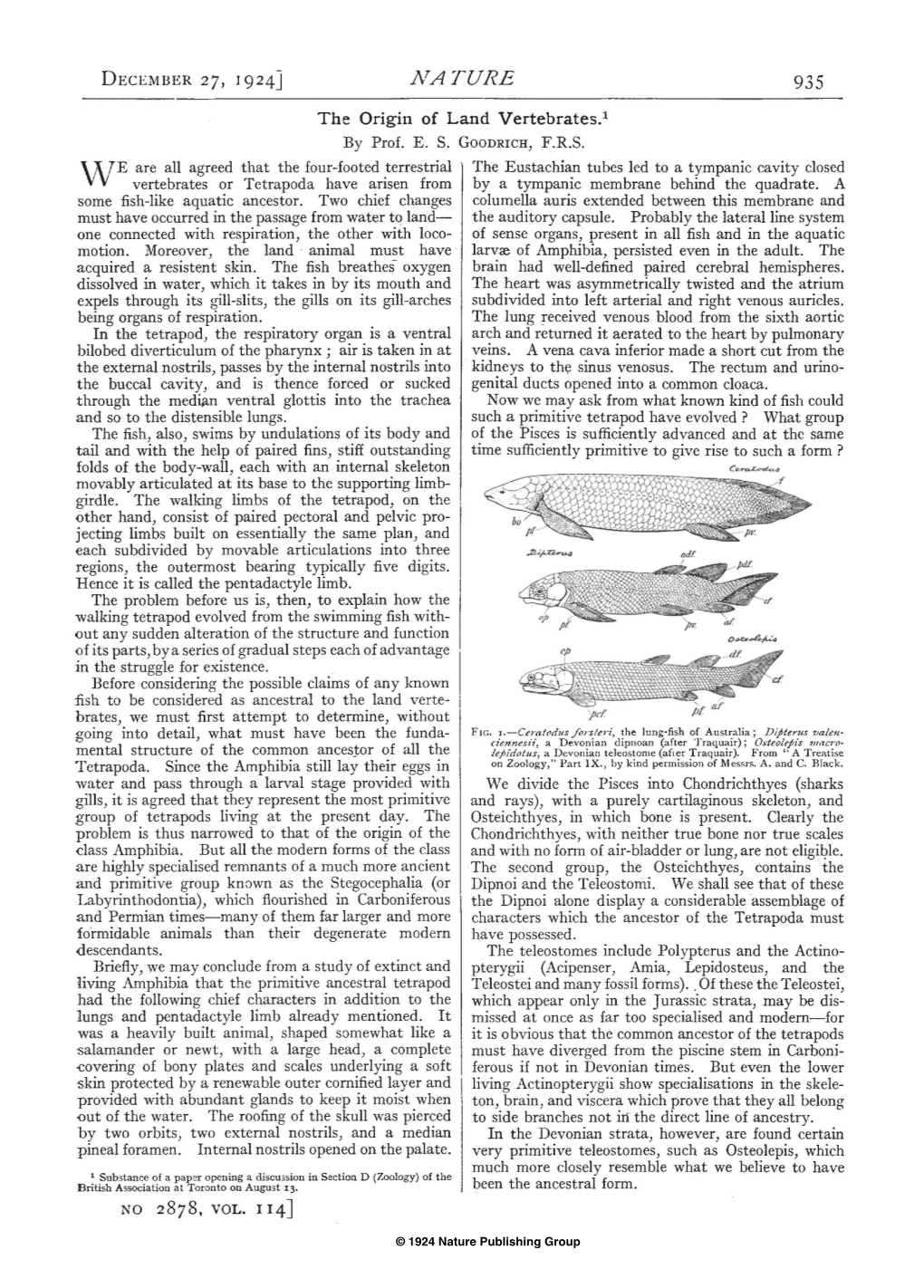 NATURE 935 the Origin of Land Vertebrates.1 by Prof