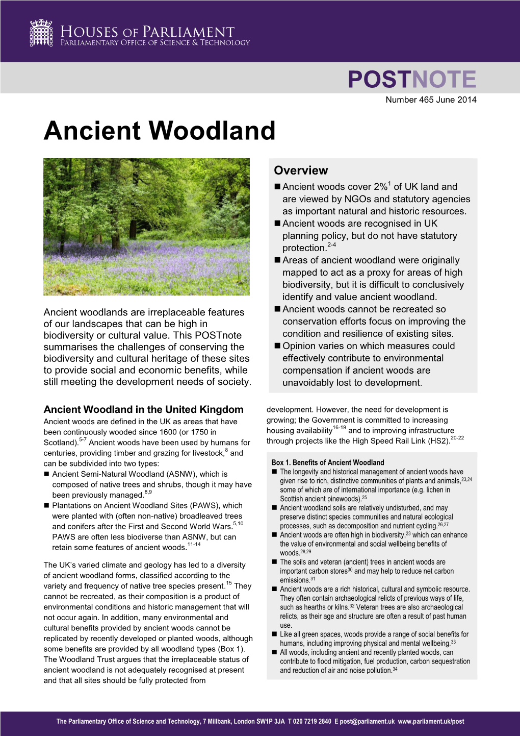 Ancient Woodland