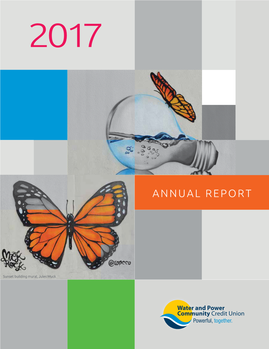 2017 Annual Report