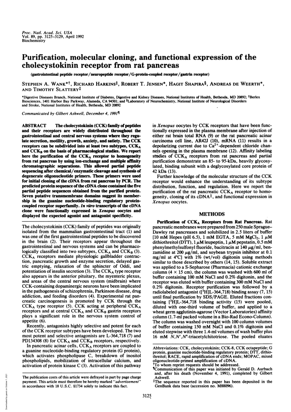 Cholecystokinin Receptor from Rat Pancreas (Gastrointestinal Peptide Receptor/Neuropeptide Receptor/G-Protein-Coupled Receptor/Gastrin Receptor) STEPHEN A