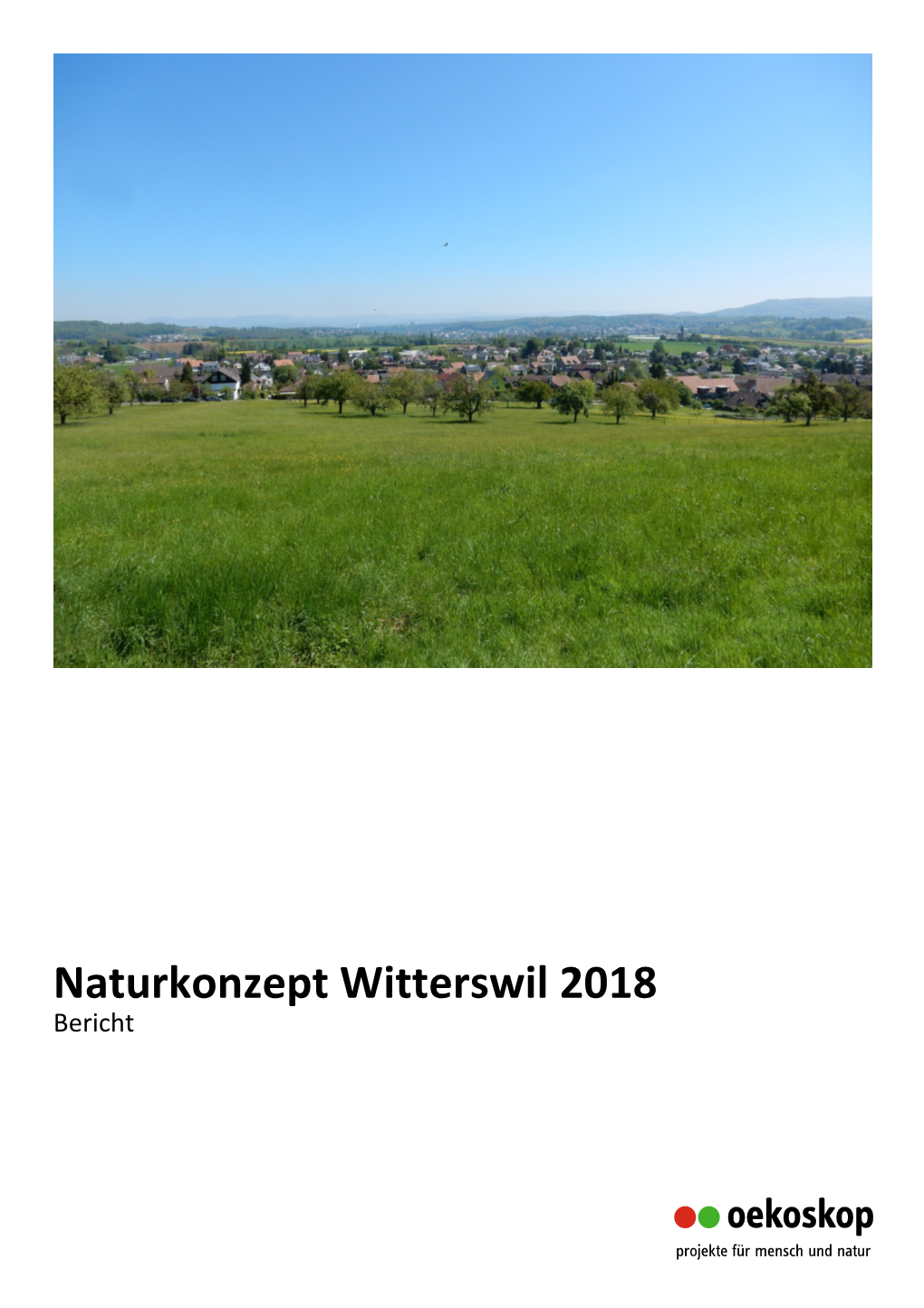 A Bericht Naturkonzept Witterswil 03-7-19