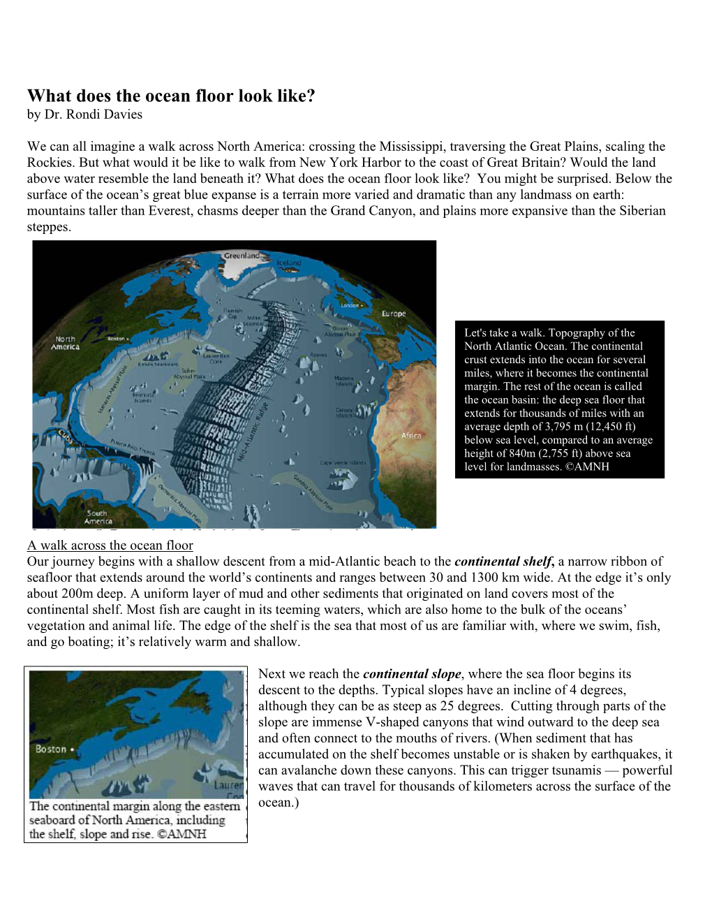 What Does the Ocean Floor Look Like? by Dr