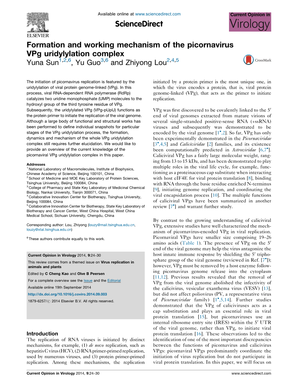 Formation and Working Mechanism of the Picornavirus Vpg Uridylylation