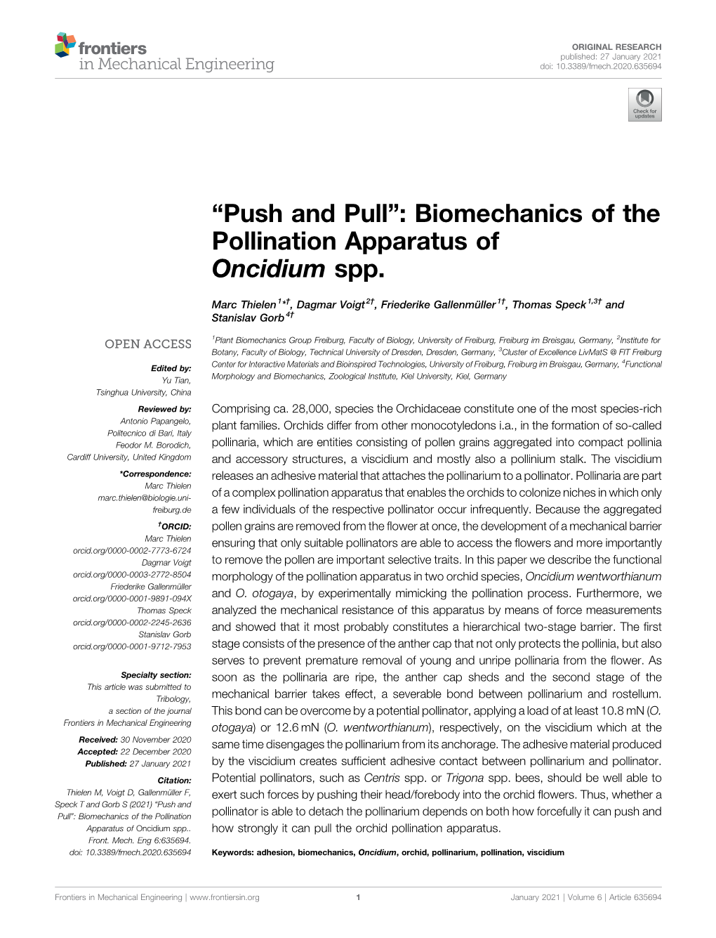 Biomechanics of the Pollination Apparatus of Oncidium Spp