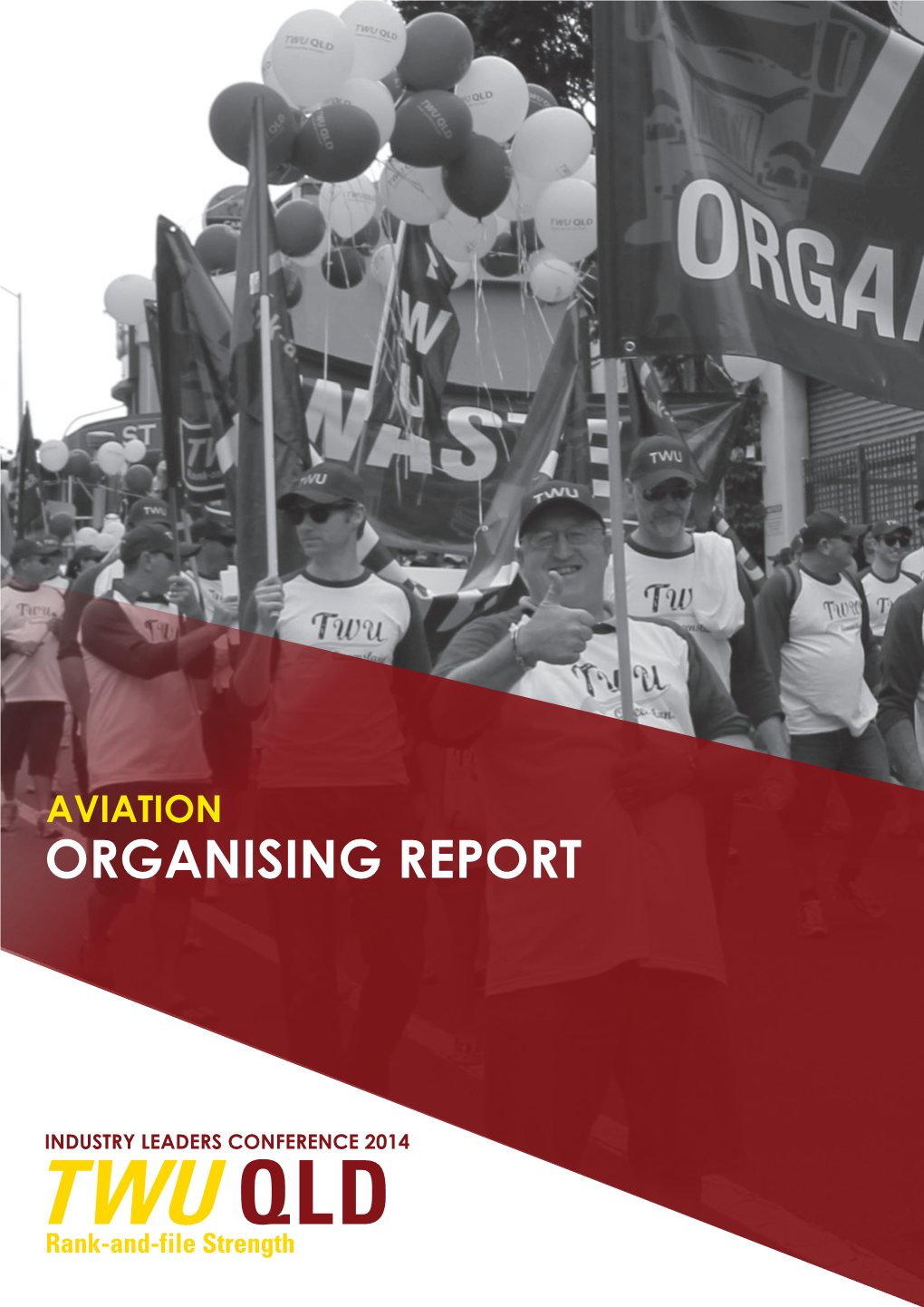 Aviation Organising Report