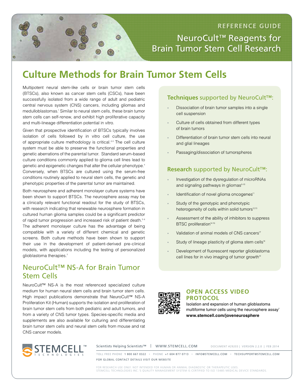 Culture Methods for Brain Tumor Stem Cells