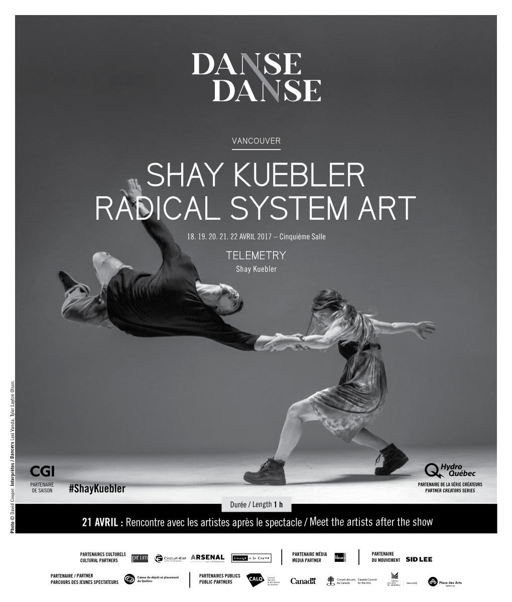 Shay Kuebler Radical System Art 18