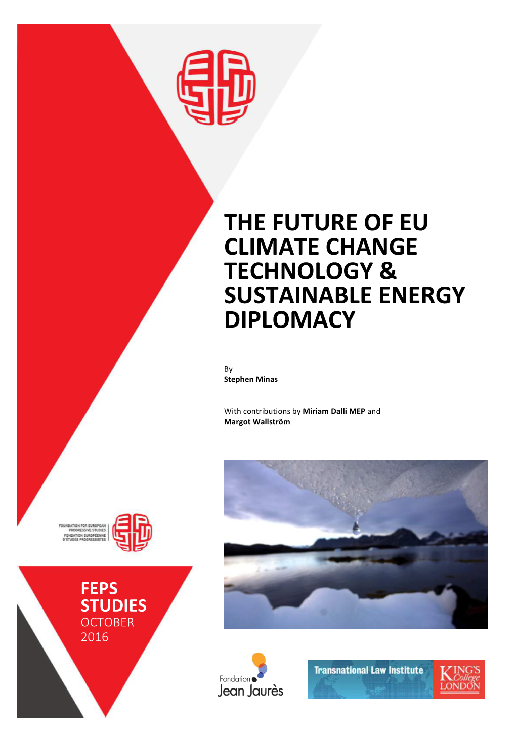 The Future of EU Climate Change Technology and Sustainable Energy Diplomacy