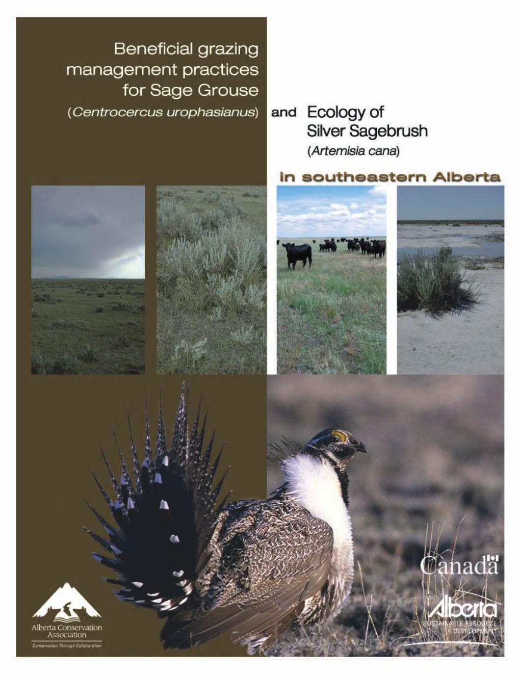 Beneficial Grazing Management Practices for Sage Grouse And