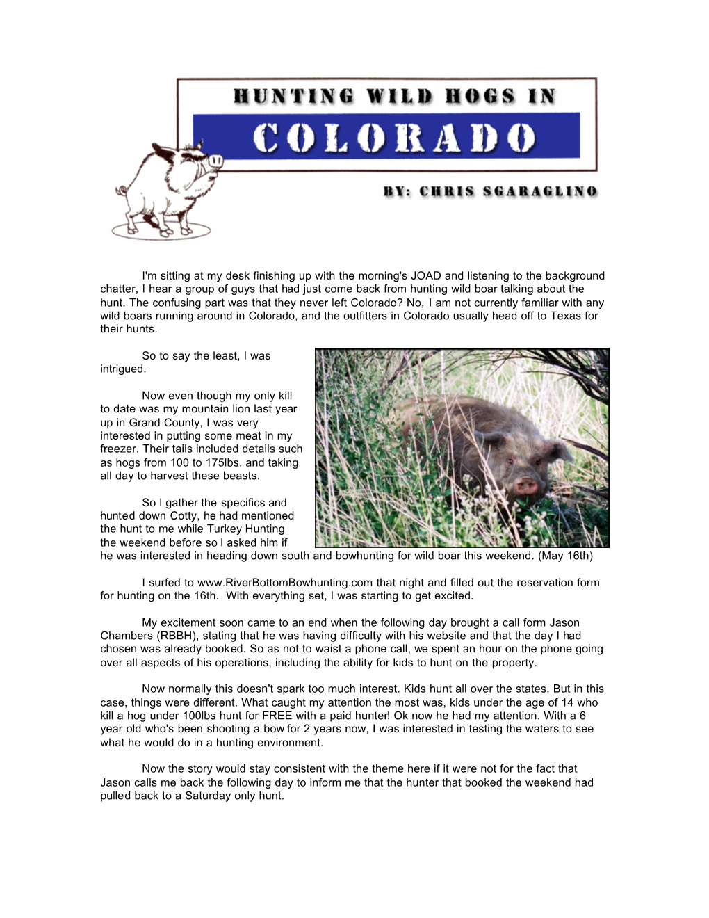 Wild Hog Hunt in Colorado