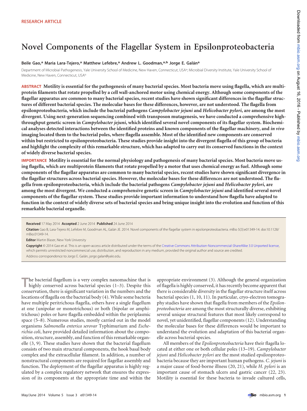 Novel Components of the Flagellar System in Epsilonproteobacteria Mbio.Asm.Org