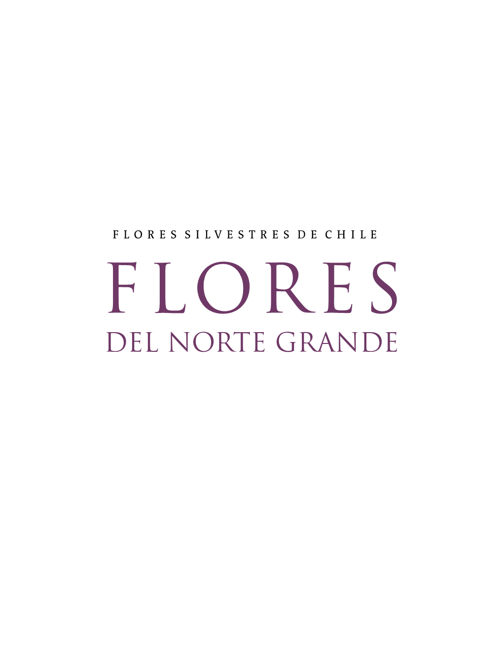 Flores DEL NORTE GRANDE FLORES SILVESTRES DE CHILE Flores DEL NORTE GRANDE