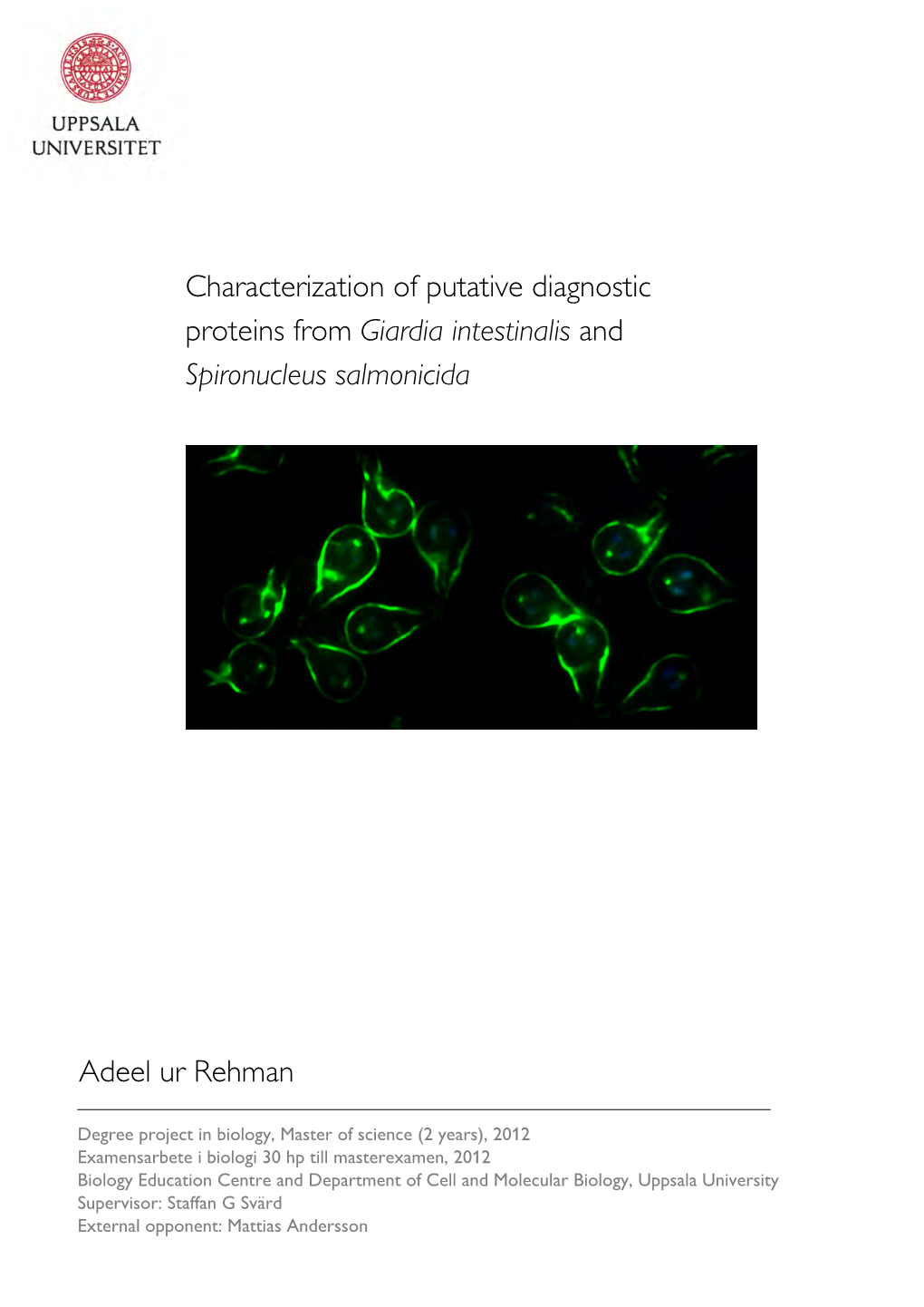 Characterization of Putative Diagnostic Proteins from Giardia And