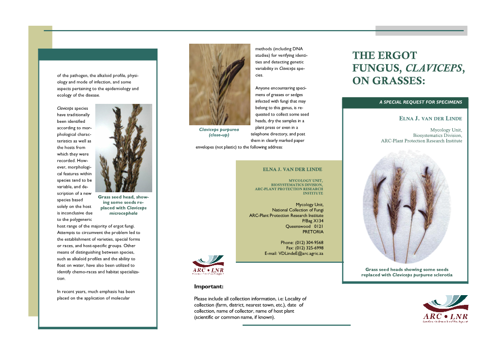 The Ergot Fungus, Claviceps, on Grasses