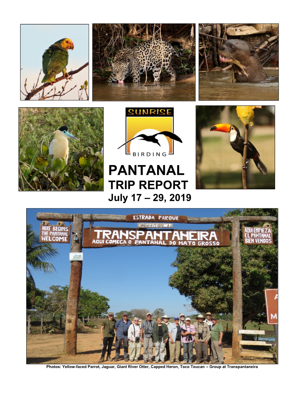 Pantanal Trip Report