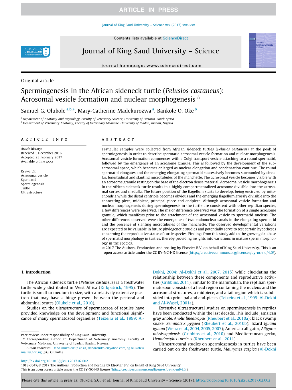 Spermiogenesis in the African Sideneck Turtle (Pelusios Castaneus): Acrosomal Vesicle Formation and Nuclear Morphogenesis Q ⇑ Samuel G