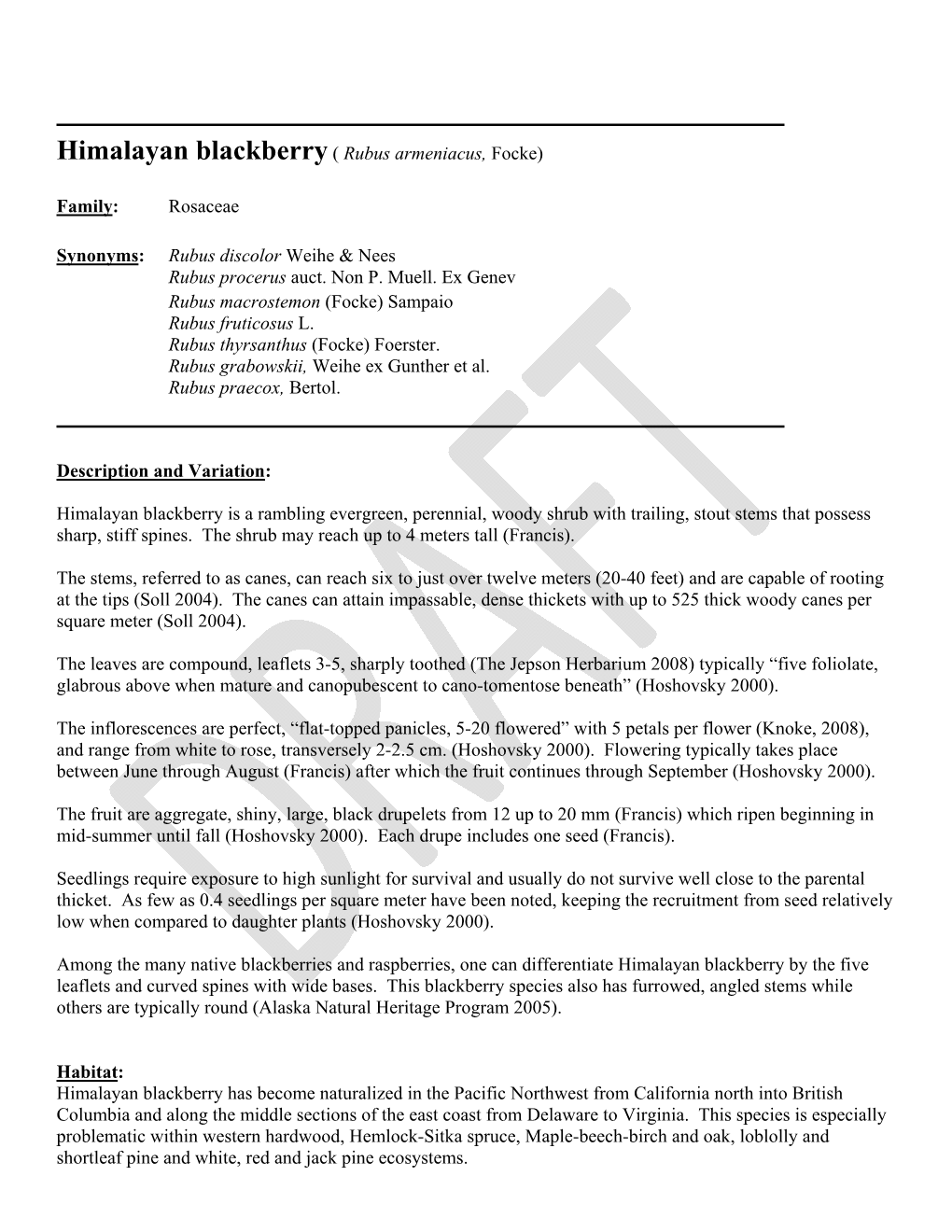 Himalayan Blackberry( Rubus Armeniacus, Focke)