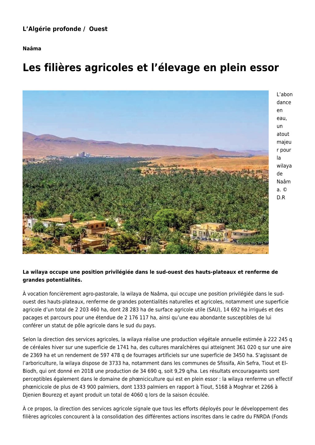 Les Filières Agricoles Et L'élevage En Plein Essor