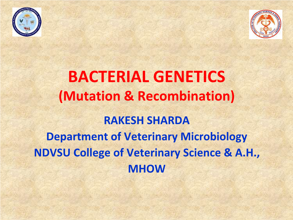 Bacterial Genetics